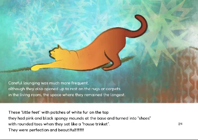 A Kitten's Love — a book illustrated by Cláudia Noronha